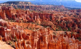 Chiêm ngưỡng 'rừng' cột đá độc nhất vô nhị ở Mỹ