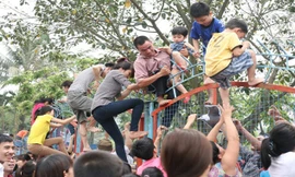 Nhạc chế cực hài hước về vụ công viên nước Hồ Tây