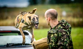 Khoảnh khắc khác lạ về lực lượng không quân Anh