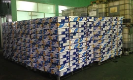 TPHCM tiêu hủy lô hàng nhập lậu, hết 'đát' trị giá 3 tỉ đồng