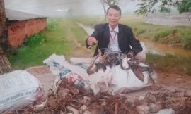 Thành quả mà ông Thiều đạt được trong một lần diệt chuột.