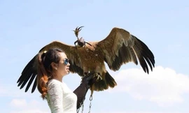 Một thành viên nữ với chú đại bàng trên tay.