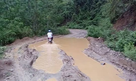 Mặt đường biến dạng vì bị xe vận chuyển gỗ quá khổ, quá tải đang cày xới.