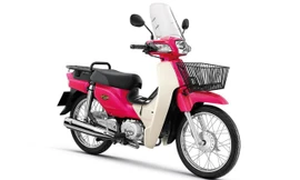Super Cub 2015 có nhiều màu sắc trẻ trung. Ảnh: Mthai.