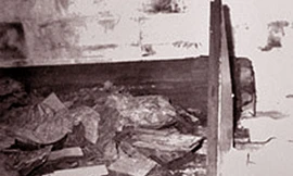 Tôn Điện Anh và vụ án đào lăng mộ Từ Hy thái hậu