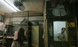 Cuộc sống trong lồng sắt của người nghèo ở Hong Kong