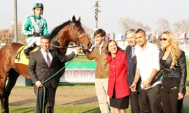 Arturo Vidal hiện đang sở hữu tới 12 con ngựa đua thuần chủng.