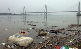 Rác thải, xác động vật chết... bị vứt đầy trên mặt sông. Ảnh chụp tại chân cầu Nhật Tân.