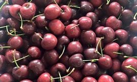 Nhà giàu Hà Thành chi chục triệu mỗi tháng để ăn trái cây ngoại