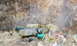 Lực lượng chức năng tiêu hủy nầm lợn.