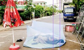 Mắc màn ngủ giữa đường, coi thường mạng sống