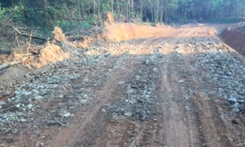 Nhiều uẩn khúc tại dự án đường lâm nghiệp gần 20 tỷ đồng