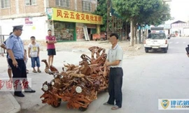 Ông Wei bị cảnh sát tịch thu xe và bằng lái. Ảnh: Shanghaiist.