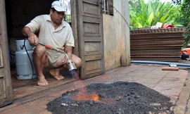 Hãi hùng với cảnh hàng đàn bọ đậu đen bay vào nhà