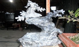 Thú lạ chơi bonsai đá kiếm bộn tiền