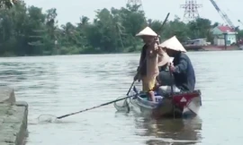 Đội quân chuyên chích điện cá phóng sinh ở sông Sài Gòn