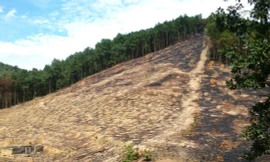 Hiện trường nơi người cháu phát hiện ông Số nằm chết.