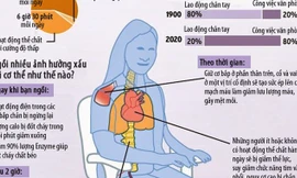 [ĐỒ HỌA] Tác hại của việc ngồi nhiều