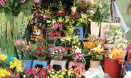 “Tăng nhiệt” cùng Tháng khuyến mãi 2010