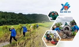 Tuổi trẻ Lai Châu khát vọng, đoàn kết, sáng tạo