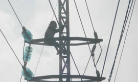 Một phụ nữ ngồi trên trụ điện cao thế