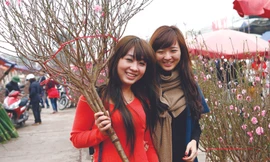 Hoa, cây cảnh Tết: Giá không cao hơn năm ngoái