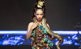 Mẫu nhí trong Lễ hội Thời trang gây ra tranh cãi gay gắt vì vác trăn lên sàn diễn