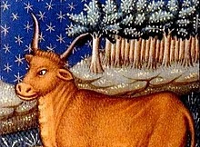 Thứ Năm của bạn: Kim Ngưu rủng rỉnh, Cự Giải bất cần