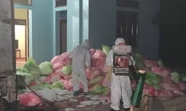 Hơn 600kg khẩu trang bị phát hiện. Ảnh: Công an Hà Nội