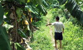 Khu vực nơi xảy ra sự việc.