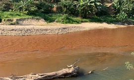 Sông Luồng ở Thanh Hóa đổi màu đỏ bất thường