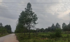 Đề nghị xử lý loạt đơn vị trúng đấu giá chậm trả 'sổ đỏ' cho dân