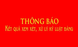 Khai trừ Đảng 5 cán bộ ở Thanh Hóa phạm tội đánh bạc, làm giả con dấu
