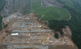 Cận cảnh 2,61 ha rừng tự nhiên bị san ủi trái phép ở Thanh Hóa