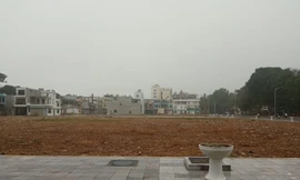 Thanh Hoá tạm dừng bán hồ sơ và tổ chức đấu giá để làm rõ năng lực nhà đầu tư