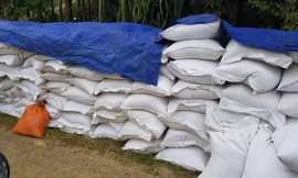 Một trưởng thôn 'ăn chặn' gần 5 tấn gạo hỗ trợ cho dân để đem nấu rượu, cho em dâu