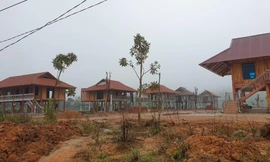 Thanh Hoá: Ngang nhiên xây dựng một loạt nhà sàn trên đất lúa