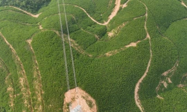 Hoàn thành dự án cấp bách, nhập khẩu điện từ Lào về Việt Nam