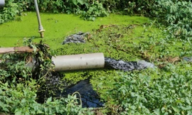 Công an vào cuộc vụ người dân tập trung phản đối trang trại lợn gây ô nhiễm môi trường