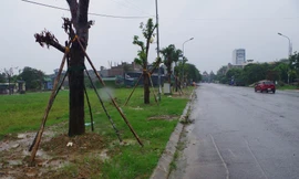 Mặt bằng dự án Khu dân cư cầu Sâng