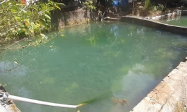 Ao nước kỳ lạ ở Thanh Hóa, mát ấm theo mùa, chỉ một loài cá sống được