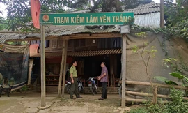 Trạm kiểm lâm ở Thanh Hóa thuê nhà dân để quản lý hơn 18.000 ha rừng