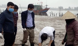 Xác định nguyên nhân ngao chết hàng loạt ở Thanh Hoá