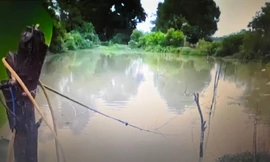 Hai anh em ruột thương vong do dây điện bẫy chuột ở Thanh Hoá