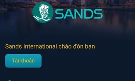 Một phụ nữ ở Thanh Hóa mất hơn 5 tỷ đồng vì nạp tiền chơi game