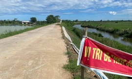 Thanh Hóa: Xin lệnh khẩn cấp xử lý sạt lở đê tả sông Mã 