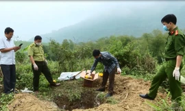 Tiêu huỷ 32 cá thể động vật rừng, xử phạt gần 50 triệu đồng