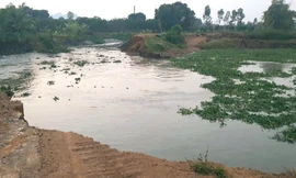 Sạt lở, vỡ 20m bờ sông nhà Lê ở Thanh Hóa