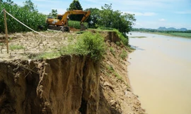 Bờ sông Chu ở Thanh Hóa sạt lở nghiêm trọng