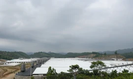 Đình chỉ hoạt động trang trại chăn nuôi lợn công nghệ cao ở Thanh Hóa 